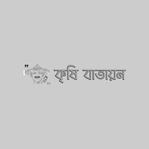 বারি পালংশাক ১